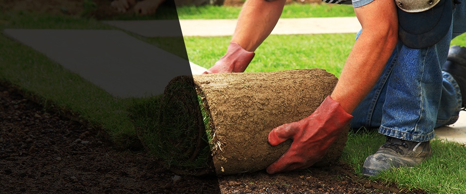 Winnemucca Landscapers